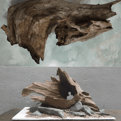 Lũa Gỗ Rừng Dáng Tự Nhiên - Trang Trí Hồ Cá Thiết Kế Layout cho Hồ Thủy Sinh