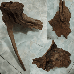 Lũa Gỗ Rừng Dáng Tự Nhiên - Trang Trí Hồ Cá Thiết Kế Layout cho Hồ Thủy Sinh