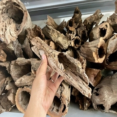 Lũa Gỗ Rừng Dáng Tự Nhiên - Trang Trí Hồ Cá Thiết Kế Layout cho Hồ Thủy Sinh