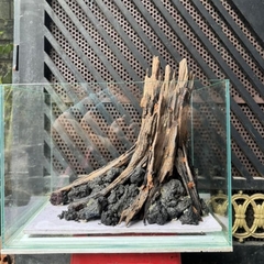 Lũa Gỗ Rừng Dáng Tự Nhiên - Trang Trí Hồ Cá Thiết Kế Layout cho Hồ Thủy Sinh