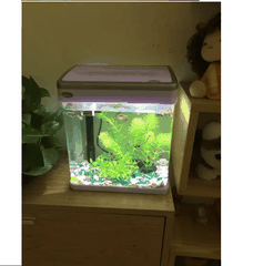 Bể Cá Mini MJ-260 – Thiết Kế Nhỏ Gọn, Đầy Đủ Tiện Ích