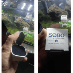Dụng cụ lau kiếng cho hồ cá mini bằng nam châm chà hồ nhãn hiệu Sobo