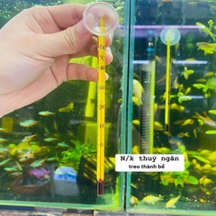 Nhiệt kế thủy ngân hít thành hồ cá – Chính xác & tiện lợi