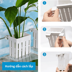 Giỏ trồng cây thủy sinh móc thành hồ cá, hồ tép, hồ bán cạn