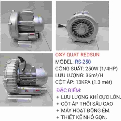 Máy thổi khí con sò Redsun RS Công Suất Lớn
