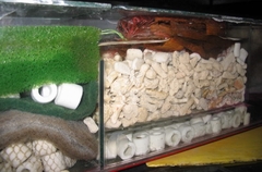 SAN HÔ VỤN LÀM VẬT LIỆU LỌC NƯỚC HỒ CÁ 500gr