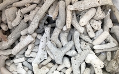 SAN HÔ VỤN LÀM VẬT LIỆU LỌC NƯỚC HỒ CÁ 500gr