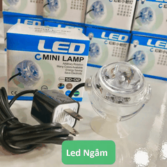Led Mini Lamp SD-02 Jeneca Nhiều Màu Rọi Sáng Trang Trí Trong Bể Cá