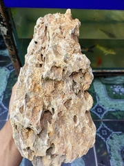 Đá Tiger | Size 5-10cm ; Size 10-20cm; Size >20cm