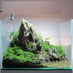 Đá Tiger | Size 5-10cm ; Size 10-20cm; Size >20cm