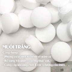Muối Khoáng Cho Cá Tinh Khiết 99% Tăng Cường Trao Đổi Chất Hỗ Trợ Hô Hấp Ngừa Tảo Độc Nấm - Longxincai White Magnetic Net Clean Salt 900g