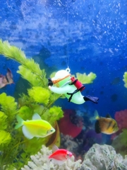 Đồ trang trí người nhái bể cá thợ lặn an toàn, có thể điều chỉnh vị trí, phù hợp với tất cả các loại cá và không có cạnh sắc