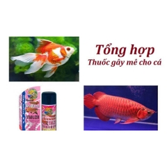 THUỐC MÊ CHO CÁ CẢNH - QIAN HU SỐ 6