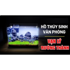 Vạn Lý Trường Thành