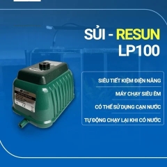 Máy Bơm Oxy Công Suất Lớn Resun LP-20, LP-40, LP-60, LP-100
