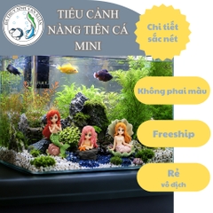 Tượng Nàng Tiên Cá Mini Decor Hồ Cá – Phụ Kiện Trang Trí Bể Cá, Hồ Thủy Sinh, Hồ Tép Đẹp Mắt