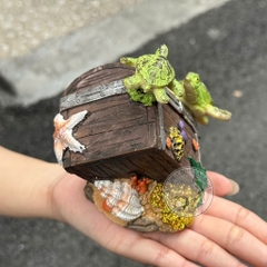 Tiểu Cảnh Rương Kho Báu (Cao Cấp) Trang Trí Hồ Cá, Bể Cá, Chậu Cây, Tiểu Cảnh Terrarium