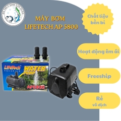 Máy Bơm Chìm Lifetech AP-5800 – Bơm Hồ Cá Koi, Thác Nước Công Suất Lớn