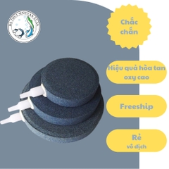 Đĩa Đá Sủi Oxy Loại Lớn, Đường Kính 15cm & 20cm