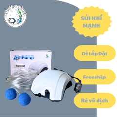 [TẶNG DÂY OXY & ĐÁ SỦI] Máy Sủi Oxi 2 Vòi Siêu Êm Jeneca AP2668A | Tiết Kiệm Điện Cho Hồ Cá