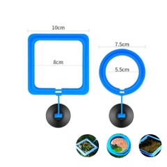 Vòng Cho Cá Ăn - Vòng Giữ Thức Ăn Cho Cá Cảnh