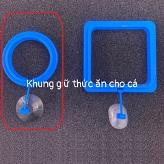 Vòng Cho Cá Ăn - Vòng Giữ Thức Ăn Cho Cá Cảnh