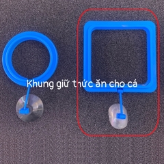 Vòng Cho Cá Ăn - Vòng Giữ Thức Ăn Cho Cá Cảnh