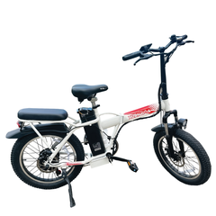 Xe Đạp Điện Trợ Lực NETT FS12 - Hàng Chính Hãng - Bảo Hàng Chính Hãng