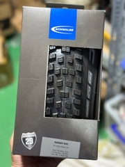 Vỏ Schwalbe 29x2.25 NOBBY NIC EVO GẤP TUBELESS