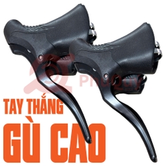 Tay Thắng Gù Cao