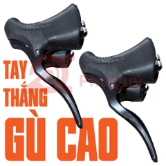 Tay Thắng Gù Cao