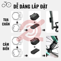 ĐO TUA CHÂN CYCPLUS C3