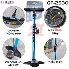 Bơm GIYO GF-2530 Xanh Lá & Xanh Dương Ống Thép