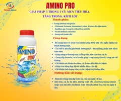 Amino pro