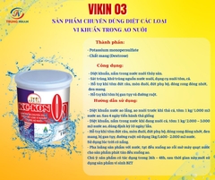 VIKON 03