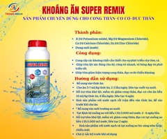 SUPER REMIX
