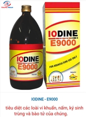 IODINE E9000