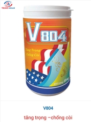 V804