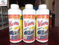 V808
