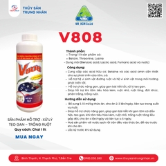 V808