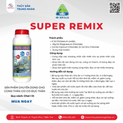 SUPER REMIX