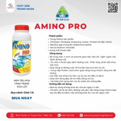Amino pro