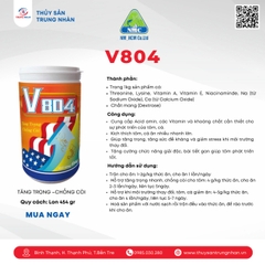 V804
