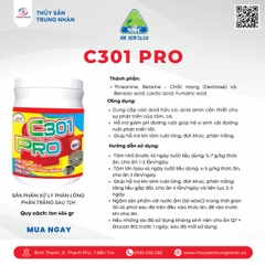 C 301 pro