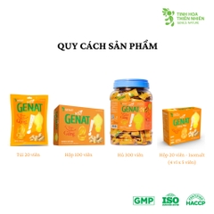 Viên ngậm gừng GENAT túi 20 viên