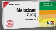 Meloxicam (H10 vỉ x 10 viên, T/320H)
