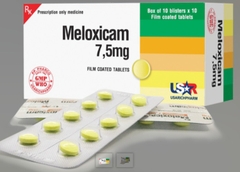Meloxicam (H10 vỉ x 10 viên, T/320H)
