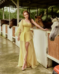 Happiness is a Butterfly Corset dress