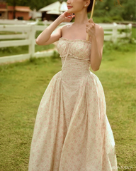 Cinnamon Girl Corset set