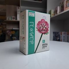 Hoa Cẩm Chướng Hồng